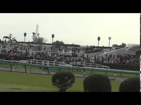 競馬 J・G1 2016年 第18回 中山グランドジャンプ 最終障害　飛越 馬場内視点 現地撮影