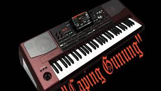 Download lagu CAPING GUNUNG # versi Dangdut Koplo Campursari KORG PA1000 mp3 Download lagu CAPING GUNUNG # versi Dangdut Koplo Campursari KORG PA1000 mp3