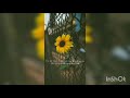 KELL SMITH - girassol (legendado)