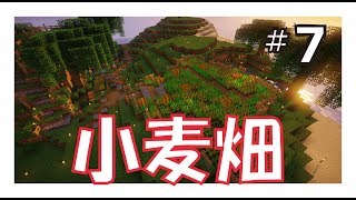 【マインクラフト】マインクラフト生活：エピソード７『ひ～効率なhatake』