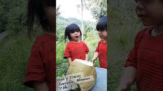 Download lagu PIKNIK DI KOBONG mp3