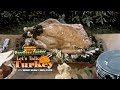 RiffTrax Let S Talk Turkey Preview