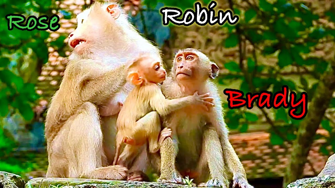 Million pity..!! Brady Seems to hide feelings.. Because I do not get as warm as before..