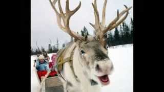 The Christmas Song  - Stevie Wonder and India.Aire