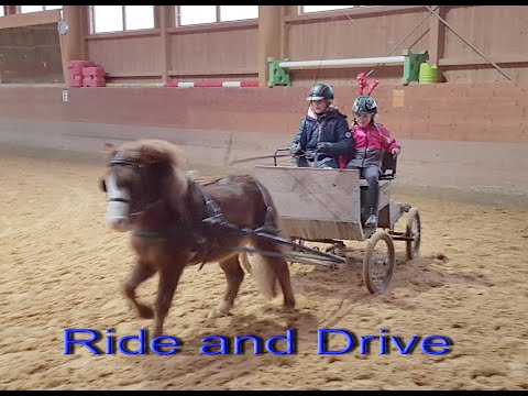 "Ride and Drive" Unser Nachwuchs zeigt sein Können !