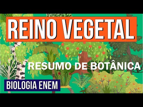 REINO PLANTAE E SUAS CARACTERÍSTICAS | Resumo de Biologia Enem: O Reino Vegetal. Prof Claudia Aguiar