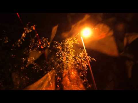 Unwaged & Iwere - Dripping