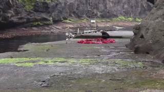 preview picture of video 'Own our own time, a global knitting performance at the Faroe Islands'