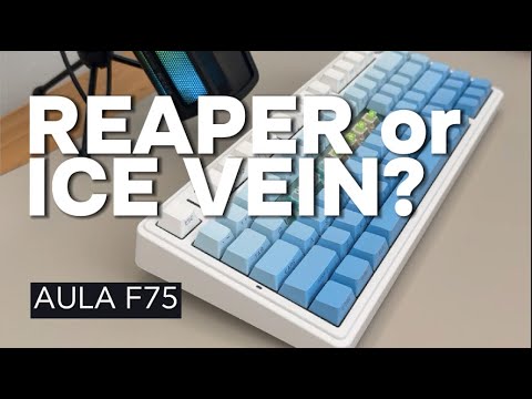 Reaper vs Ice Vein Switches | Aula F75