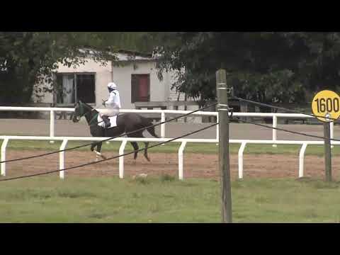 SINT MELO 251227 c07 -  QUE VIDA