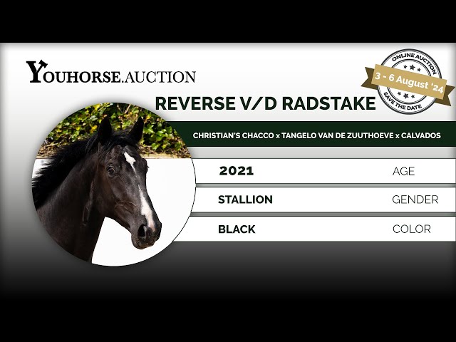 Reverse vd Radstake