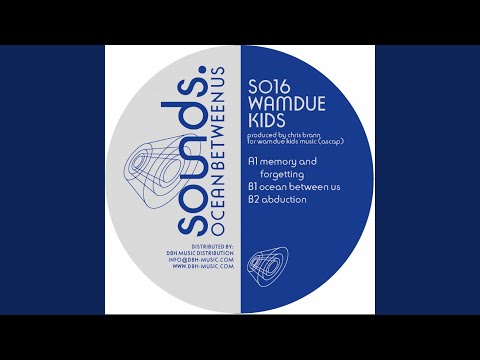 Abduction (Original Mix)