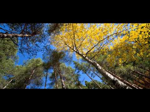 Robert Randquist - All My Love