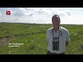Staatsbosbeheer over zoektocht naar het heckrund