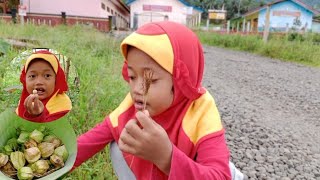 Download lagu Azzah panen buah ciplukan perdana setelah lebaran - Rahman Azzah mp3