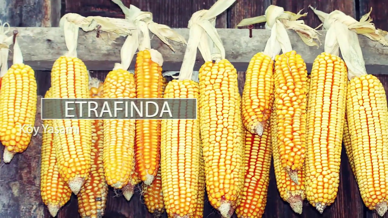 Güzeldere Şelalesi Kısa Video