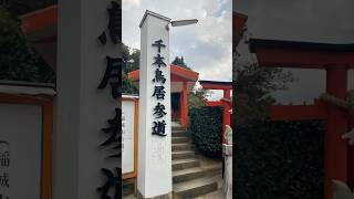 360 meter walk through 1000 ⛩️ to get to stunning ocean view✨ 1000本鳥居をくぐればそこは海の絶景✨#visitjapan