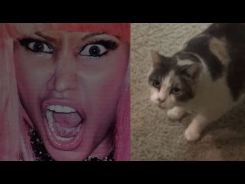 Cat terrified of Nicki Minaj's face (official video)