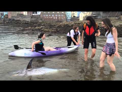 That Time We Found A Big Fish [EXPLICIT]