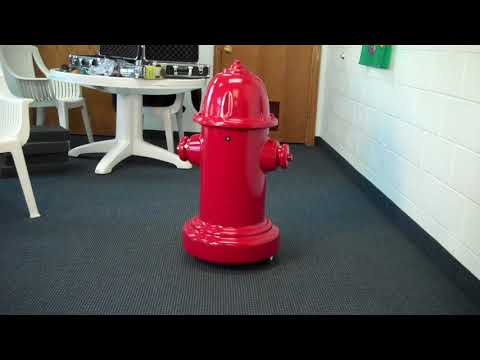 Pluggie The Fire Plug