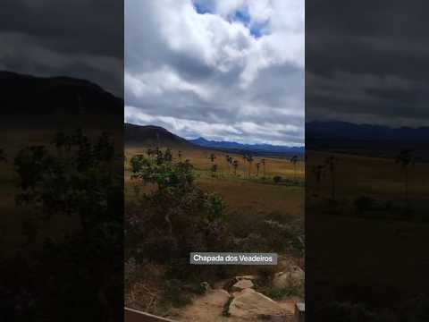 Jardim de Maitreia - Alto Paraíso de Goiás #chapadadosveadeiros