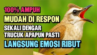 Download lagu Suara Trucukan Gacor Ngalas & Ropel - Pancingan Terbaik | Agar Cepat Bunyi mp3