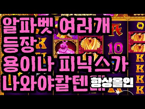 [슬롯][제보영상][닉네임:항상올인]토라메 595배
