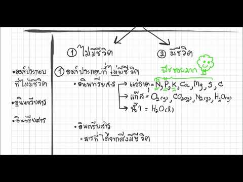 องค์ประกอบของระบบนิเวศ