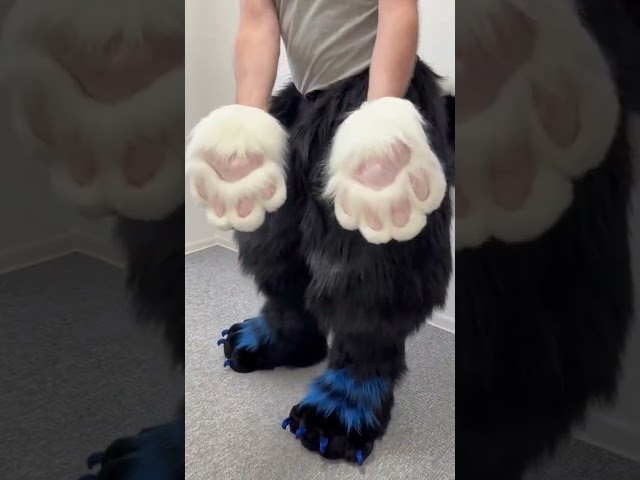 Vídeo relacionado con POIUIYQA Zapatos de Patas Furry para Fursuit | Zapatos de Cosplay Cute Slip-On para Convenciones de Anime, Comic Cons, Encuentros de Halloween y Fiestas de Disfraces