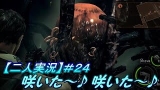 ＃24 化物が咲いた【二人実況】バイオハザード5【ピヨらぅる】