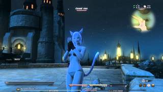 FF XIV Miqo'te bathing suit