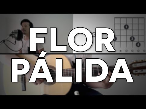 Flor Pálida - Guitarra [Mauro Martinez]
