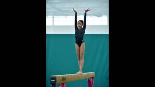 Pilgrim Harvest 2016