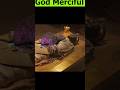 Firon Pharaoh Ki Mummy Par Rats Kyu Chory Jaty Hain Youtubeshorts Religion Drisrarahmed Hindi