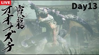 初見モンハンを堪能する男 13日目 スケスケトカゲ編　 【モンスターハンターサンブレイク初見プレイ】