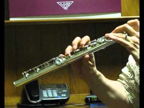 Pearl PF-761 Flute (Used) - Offset G, Split E - Near New High Register