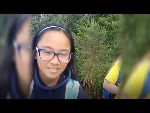 First week back to school Term 4