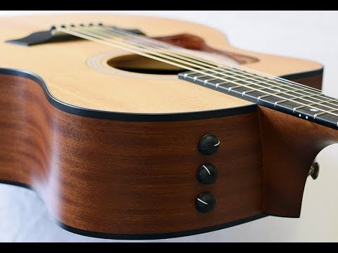 Taylor 114ce Demo And Review