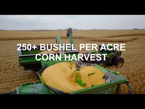 North Dakota Corn Harvest 2019 