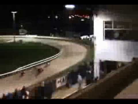 Ladbrokes Scottish Derby Trial Stake (08/03/14). — at Shawfield Stadium.