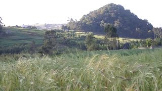 Sacred Sites and Biodiversity - Scenes from Standing on Sacred Ground