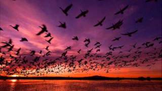 Kid Loco-Relaxin with Cherry