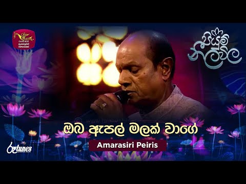 Oba Apple Malak Wage | ඔබ ඇපල් මලක් වාගේ | Amarasiri Peiris | Piyum Neela Vila | Roo Tunes