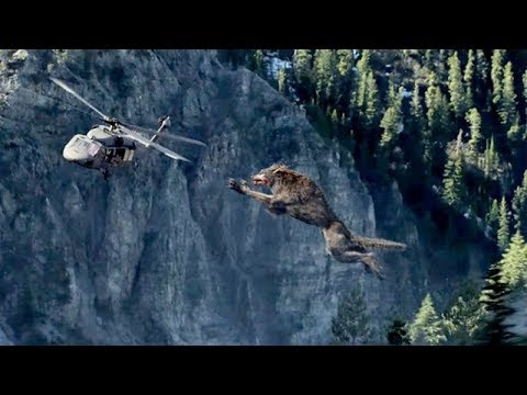 Lobo gigante | Rampage | 1080p