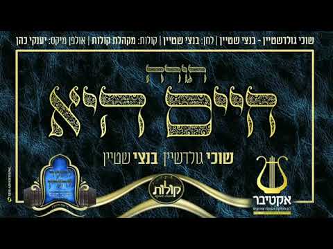 תורה חיים היא   בנצי שטיין  שוכי גולדשטיין  מקהלת קולות/ אקטיבר הפקות