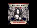 Harsh Demise - A New Level (Pantera cover ...