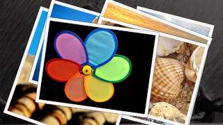 Amei Demais || Banda Eva