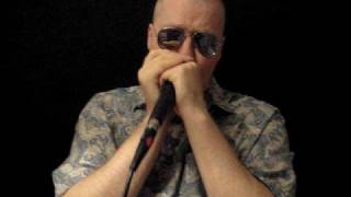 Fast Harp: Stone Fox Chase