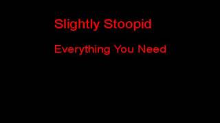 Slightly Stoopid Everything You Need + Lyrics