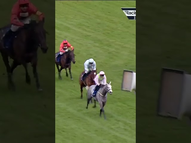 Thumbnail for Post ID: m4svdZ3uYPo